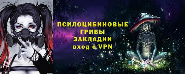 mix Абаза