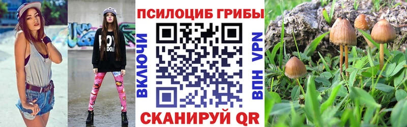 мега ССЫЛКА  Рославль  Псилоцибиновые грибы Magic Shrooms 