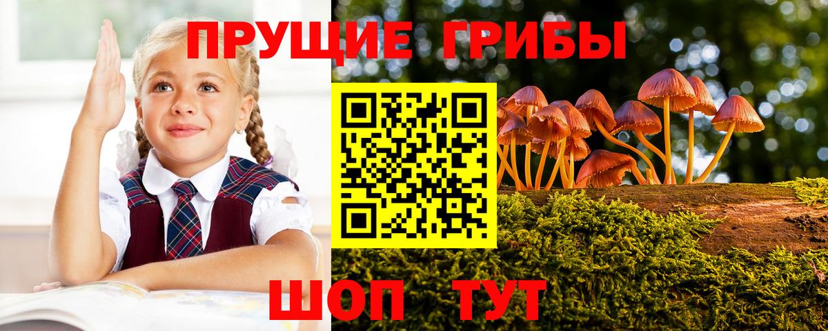 Рославль  Псилоцибиновые грибы ЛСД  Вход с VPN 
